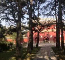 龙泉森林公园