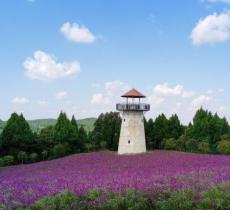 崴螺山森林公园