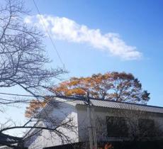 中物院科学城技术馆