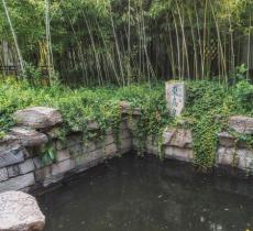 东高泉