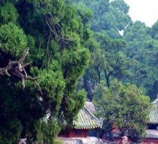 七曲山风景区
