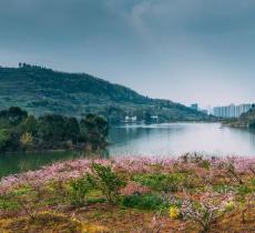 宝狮湖