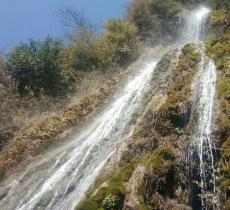 西岭泉琴