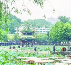 富顺西湖