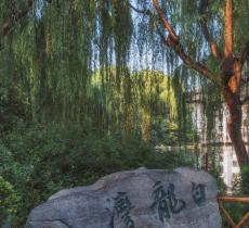 白龙湾泉