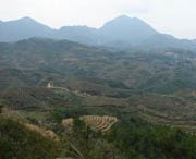大田县